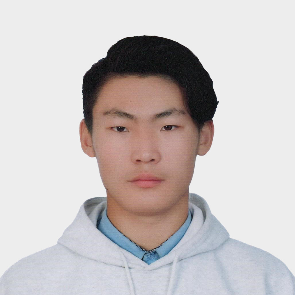Н.Дөлгөөн